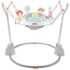 Skip hop Hopsadlo Aktívne centrum 2 v 1 Silver Lining Cloud 4 m+ 195861579137