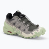 Dámske bežecké topánky Salomon Speedcross 6 castlerock/vanilla ice/smoke green