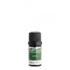 NOBILIS TILIA Éterický olej Santal 5 ml