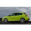 Nerez + ABS lišty dverí Seat Leon 1P