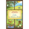 Léto ve starém domě - Hana Pinknerová, Adéla Jaworek