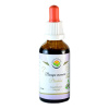 Salvia Paradise Bacopa monnieri Brahmi AF tinktura 50 ml