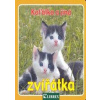 Koťátko a jiná zvířátka - autor neuvedený