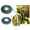 STREND PRO Páska GreenGarden MULTI 35, 11 mm, L-3500 mm - Páska MULTI 35, viazacia na rastliny, 11 mm, 35 m