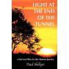 Light at the End of the Tunnel