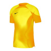 Nike Dri-FIT ADV Gardien 4 M DH7760-719 goalkeeper jersey (94047) Black XL (188cm)