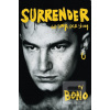 Surrender (Author 117895 CS)