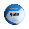 Míč volejbal PRO-LINE GALA BV5565S