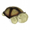 Detské svetlo s projektorom - Cloud B nočná lampa Magic Turtle 8 konštelácií (Cloud B nočná lampa Magic Turtle 8 konštelácií)