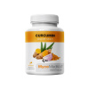 MycoMedica Curcumin 344 mg 120 kapslí