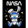 CUKROVÁ TLAČ jedlý obrázok na tortu Cukrová hmota Králik Astronaut NASA + MENO