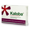 Kaloba 20 mg filmom obalené tablety tbl.flm. 21 x 20 mg