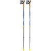 Leki Traveller Carbon 130