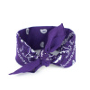 Art of Polo Bandana - fialový