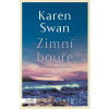 Zimní bouře