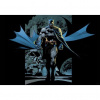 Fototapeta na stenu - FT3725 - DC Comics – Batman 312cm x 219cm - Vliesová fototapeta
