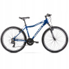 Horský bicykel - Romet Romet Rambler R6.1 Jr Ltd 26 R17 M 2022 (Romet Romet Rambler R6.1 Jr Ltd 26 R17 M 2022)