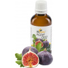 Figovník Obyčajný - Figový Olej BIO 50ml (Ficus carica)