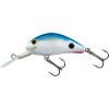 Wobler Salmo Executor Shallow Runner 3 1/2
