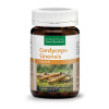 Sanct Bernhard Cordyceps Sinensis 500 mg 90 kapslí