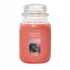 Yankee Candle Cliffside Sunrise 623 g