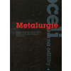 Metalurgie oceli na odlitky - Jaroslav Šenberger, Zdeněk Bůžek, Antonín Záděra, Karel Stránský, Václav Kafka
