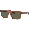 Ray-Ban Warren RB4396 66789A - M (54)