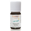 HANUS SILICA OREGANO (PAMAJORÁN) ole 1x10 ml Hanus - Bylinné prípravky