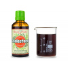Cholesterol - bylinné kapky (tinktura) doplněk stravy 50 ml
