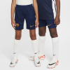 Nike Barcelona Home Shorts 2024 2025 Juniors Blue 13 rokov