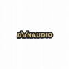 Emblém DYNAUDIO zlatý brúsený 106x24 mm náhrada
