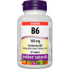 Webber Naturals B6 100 mg 90 tbl