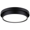 Paulmann 96780 Malik LED stropné svietidlo LED 13.5 W čierna (matná); 96780