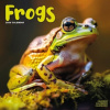 Frogs, 30,5 x 30,5 30,5 x 61 cm 2026