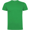 Pánske tričko s krátkym rukávom Dogo Premium, zelená Irish, XL