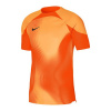 Nike Dri-FIT ADV Gardien 4 M DH7760-819 goalkeeper jersey (94048) Black M (178cm)
