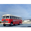 Model autobusu Ikarus 311 1960. Mierka 1:72.