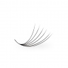 Luxury Lashes 6D Riasy Premium sypané v hotovom vejáriku 1 000 Ks Zakrivenie umelých rias: CC, Dĺžka umelých rias: 7 mm, Hrúbka rias: 007