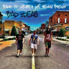 Bad Ideas - Kenny Brown CD