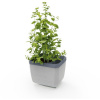 Gusta Garden GG-120F10