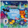 Zvuky noci (zvuková kniha) - Svojtka&Co.