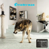 Grinderman: Grinderman… (Bertelsmann Music Gr)