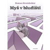 Myš v bludišti - Roman Streichsbier