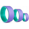 DHRS Yoga Wheel Yoga Set, Yoga Back Yoga Roller (DHRS Yoga Wheel Yoga Set, Yoga Back Yoga Roller)