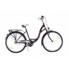 Mestsky bicykel - City Bike Ladies Storm Amsterdam 3s 28 Slivka (City Bike Ladies Storm Amsterdam 3s 28 Slivka)