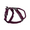 Non-stop dogwear Postroj Line 5.0 fialová 1