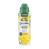 Coccolino Laundry Perfume Elixir Summer Bouquet parfum na pranie 460ml