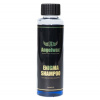 Angelwax Enigma Šampón (100 ml)