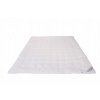 Perina, paplón - Prikrývka z peria 200 x 155 cm (Anti -allergická prikrývka 155x200 Essmeda Summer 700g)