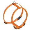 Nobby CLASSIC postroj nylon